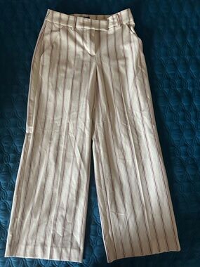 Express striped pants